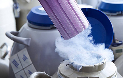 孕期胎儿生长发育,孕期胎儿生长发育规律