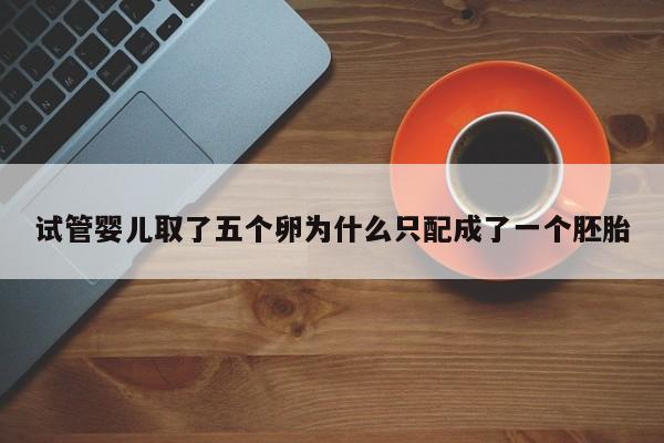 试管婴儿取了五个卵为什么只配成了一个胚胎