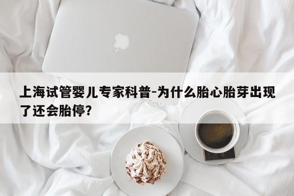 上海试管婴儿专家科普-为什么胎心胎芽出现了还会胎停？
