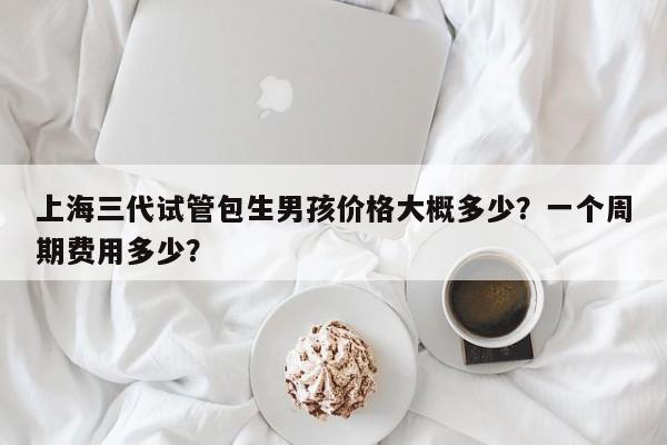 上海三代试管包生男孩价格大概多少？一个周期费用多少？