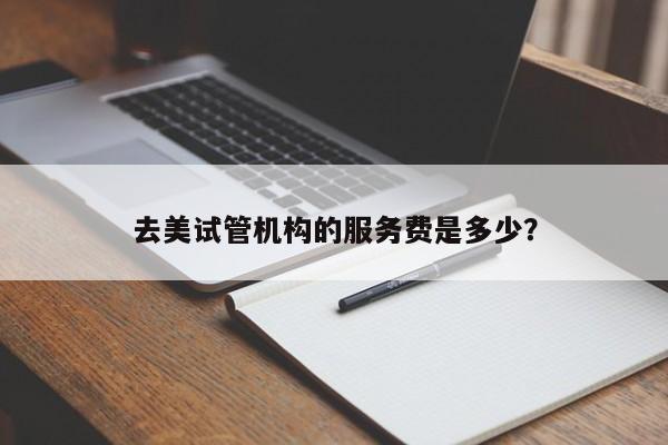 去美试管机构的服务费是多少？