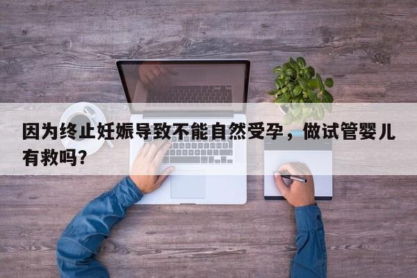 因为终止妊娠导致不能自然受孕，做试管婴儿有救吗？