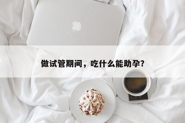 做试管期间，吃什么能助孕？